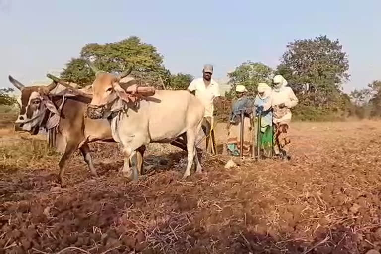 Farmers and bank Officer on govt direct benefit transfer scheme