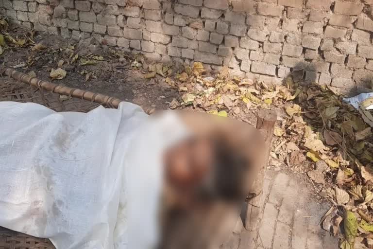 Rajasthan Women Murder In Patna, Patna crime news