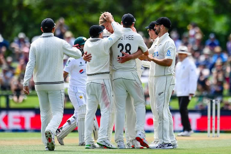 nz vs pak 2nd Test: New Zealand rout Pakistan to seal top ranking