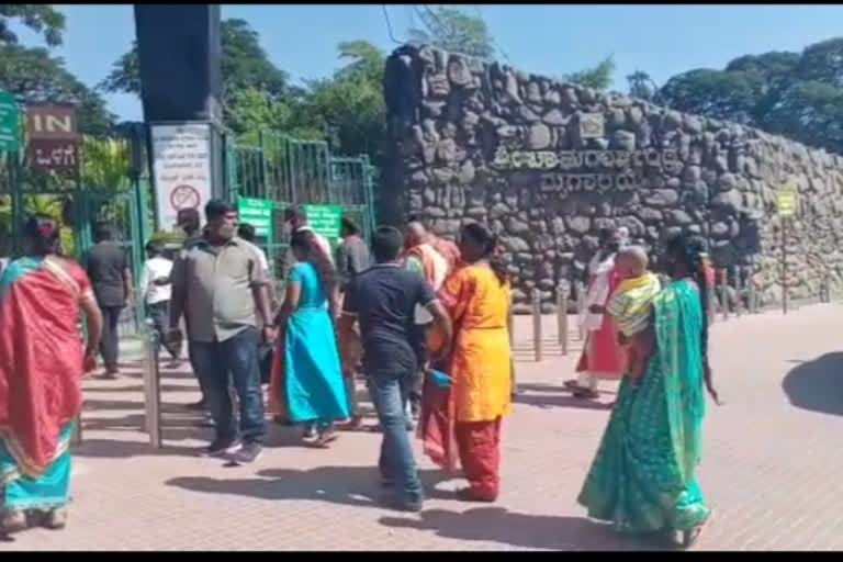 Mysore zoo thinking for safari