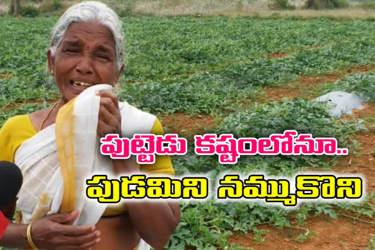 women-farmers-faceing-somany-problems