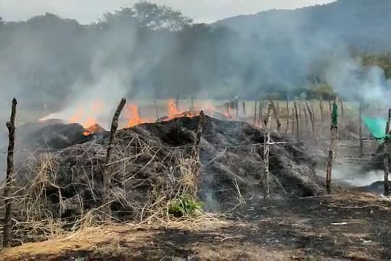 Paddy stack on fire in Karwar