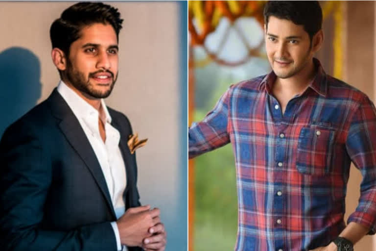 Naga Chaitanya as Mahesh Babu fans Association president in new movie