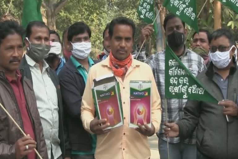 farmers in Bargarh