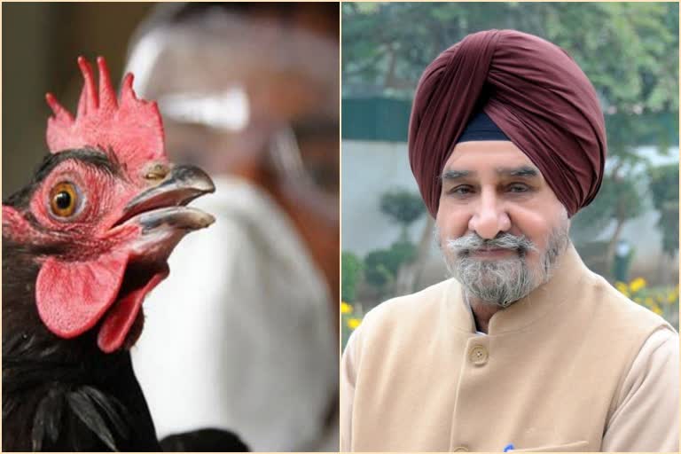 There is no threat of bird flu in Punjab yet: Bajwa