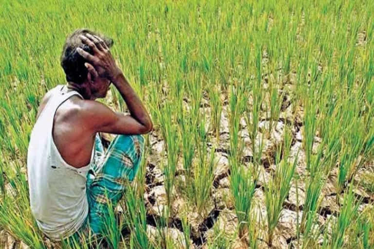 PM Kisan scheme: Centre asks Bengal govt to depute nodal officer