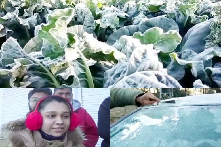 weather in sirohi, rajasthan weather, Snow in sirohi, Sirohi Temperature, Temperature in Sirohi is below freezing point, सिरोही में तापमान जमाब बिंदू से नीचे, सिरोही का तापमान, सिरोही में बर्फबारी, सिरोही की खबर