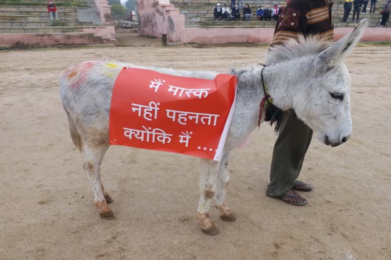 Unique rally of animal in Ajmer, Ajmer news