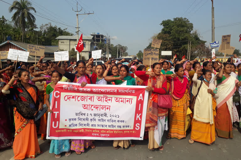 demanding cancellation of new agricultural law at baksa