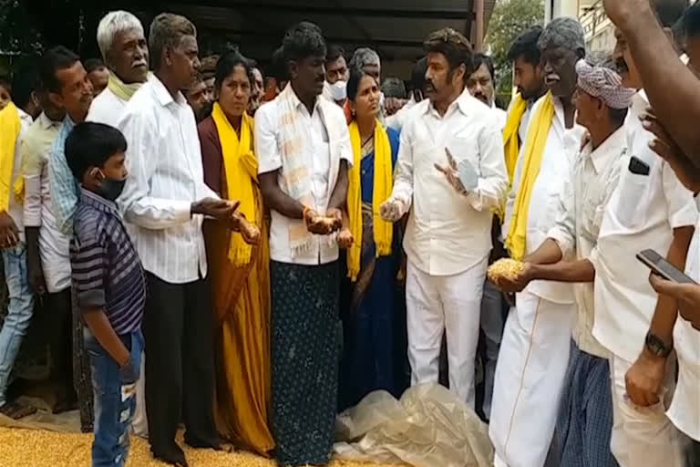 MLA nandamuri Balakrishna tour in Singavaram