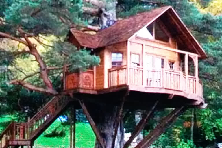 5 tree houses to be built in Fato range of Terai Western