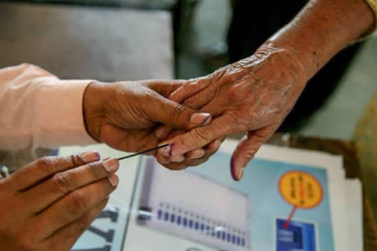 Maharashtra local body polls