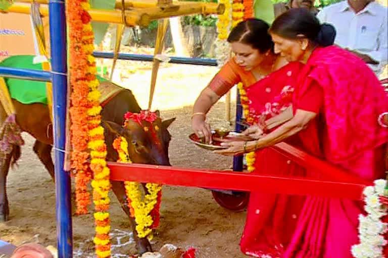 Hosabelaku Old Age Home stayers  celebrated  baby shower of a cow