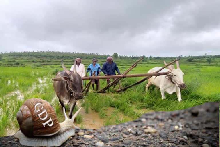 farmers