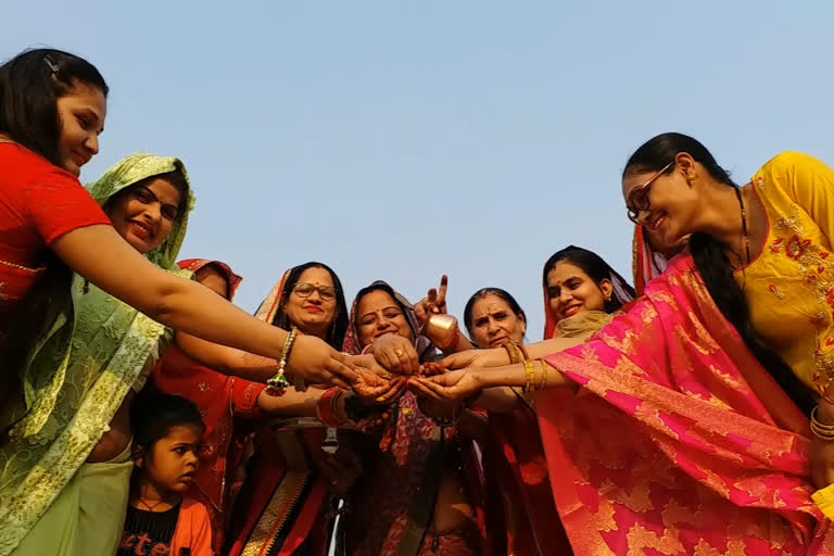 makar sankranti, jaipur news