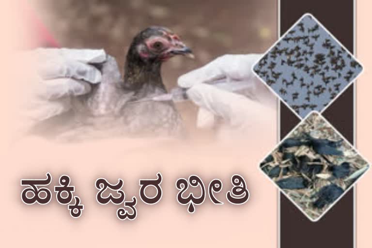 death-of-6-birds-in-shimoga-dakshina-kannada-suspicious-as-bird-flue