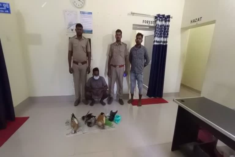 a bird hunter arrested in khurda