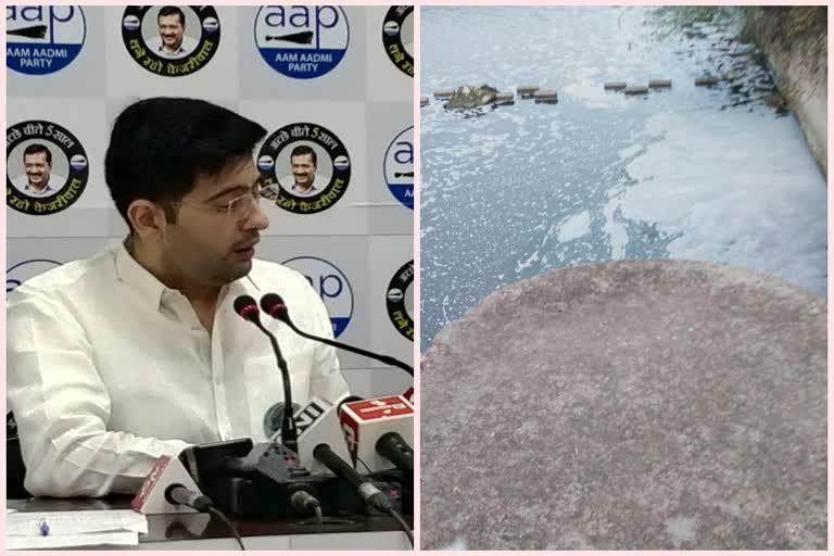 delhi jal board vice president raghav chadha said about yamuna ammonia levels