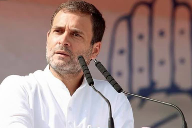 Congress leader Rahul Gandhi, राजस्थान न्यूज़