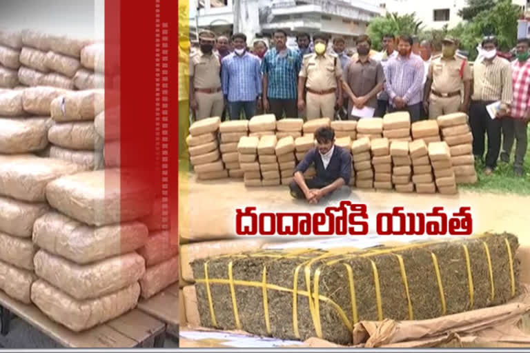 The supply of ganja in the joint Khammam district