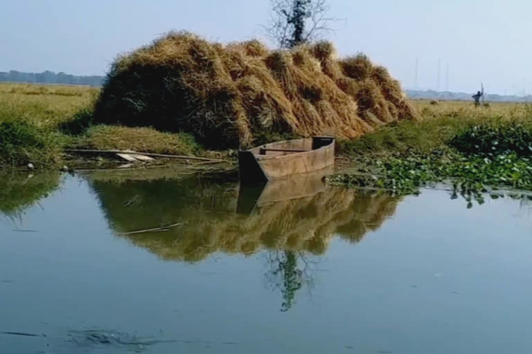 Agriculture on island