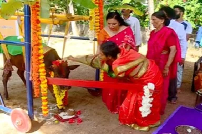 Udupi 'Hosa belaku' ashram have organize the seemantham for the cow