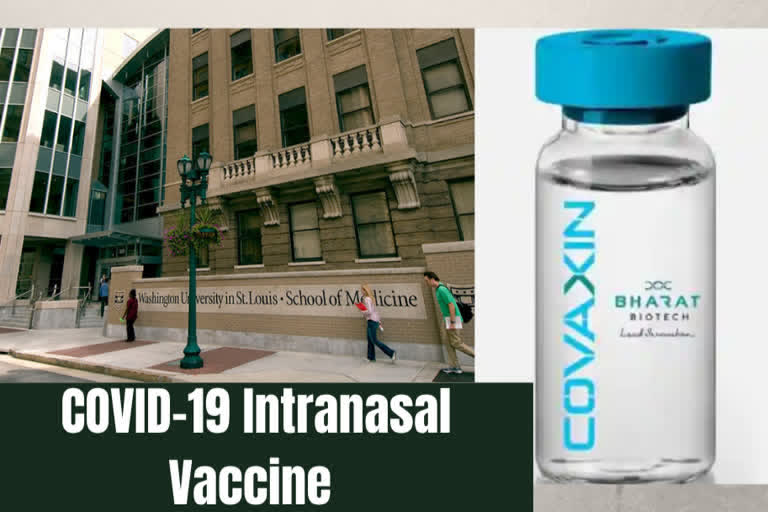 Bharat Biotech to begin Phase-1 trials of its intranasal vaccine for COVID-19 in Feb-March