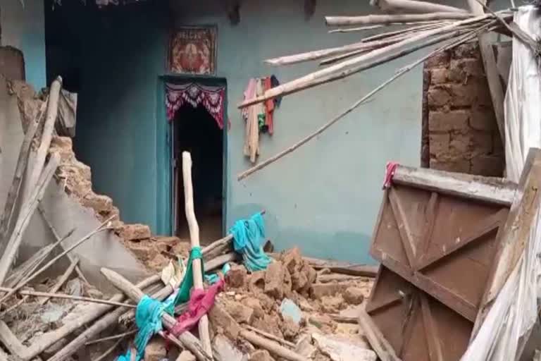 9-elephant-team-in-manpat-damaged-houses-and-crops-of-many-villagers-in-sarguja