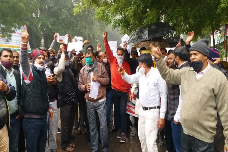 Protest of investors of Pearls company, Pearls company fraud