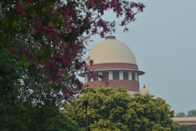 Give bulletproof jackets, firearms to forest officials, SC tells states