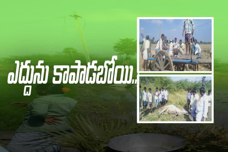 farmer died at mittasomapuram