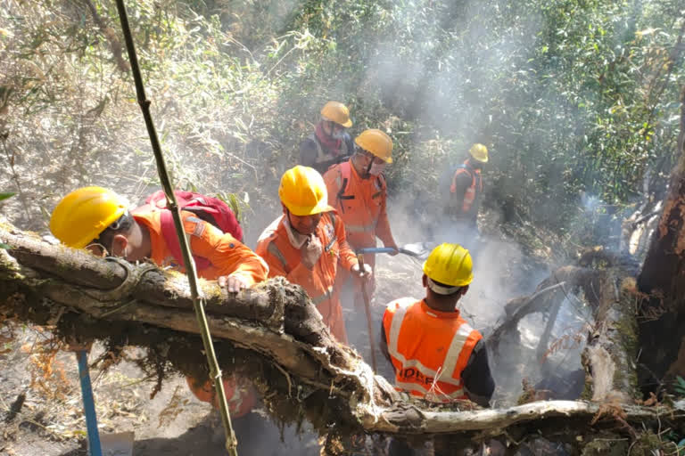 ক্ৰমাৎ নিয়ন্ত্ৰণলৈ আহিছে জকু' ভেলীৰ বন জুই