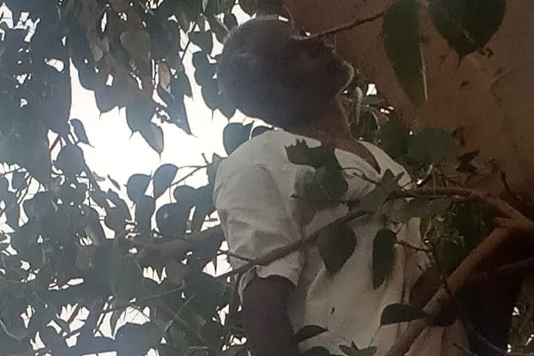 karnataka man suicide