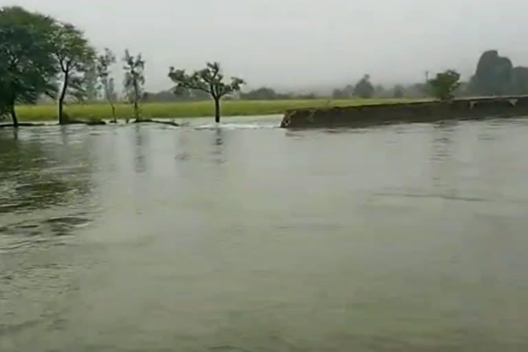 crops damaged due to canal eruption