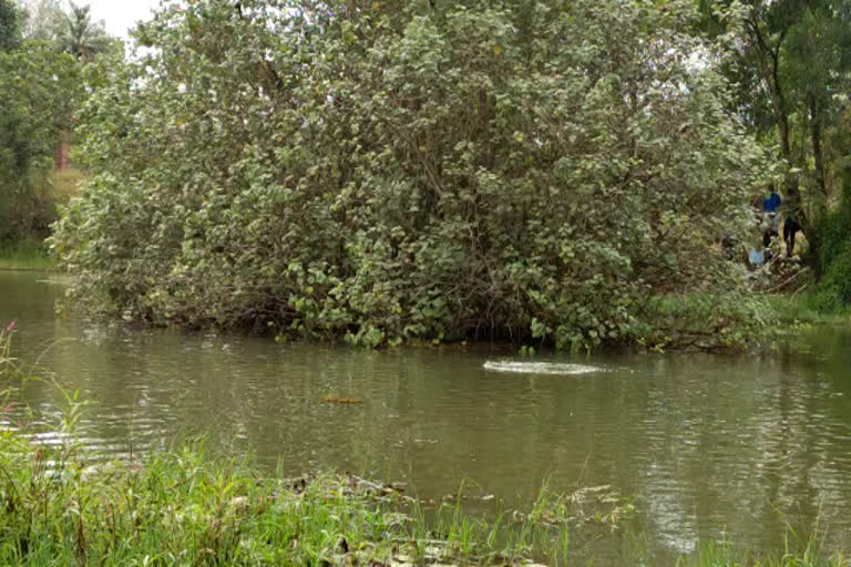 കൊല്ലത്ത് വിദ്യാര്‍ഥി മുങ്ങി മരിച്ചു  9th standard student drowned in river in kollam  ഫോട്ടോ ഷൂട്ടിനെ 14കാരൻ മുങ്ങി മരിച്ചു  boy drowned in river during photoshoot