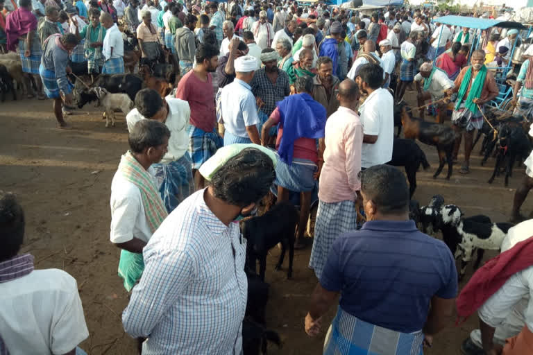 trichy samayauram goat sales crosses crores