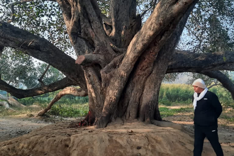 जांच करते कोटेश्वर नाथ धाम पहुंचे फॉरेस्ट वैज्ञानिक