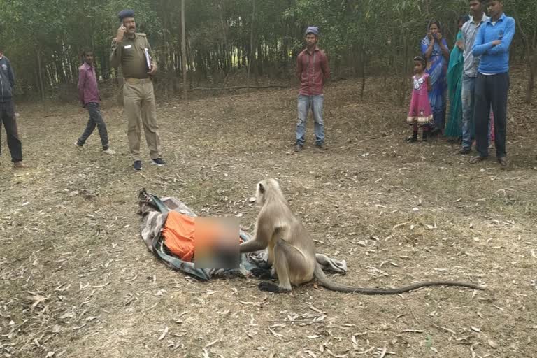 langur-wept-over-the-death-of-the-laborer-in-giridih