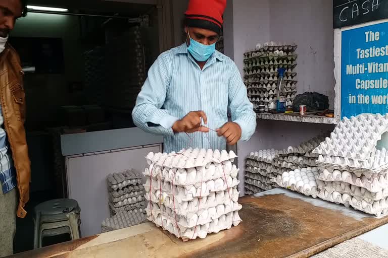 sale of eggs in Kota, bird flu in Kota