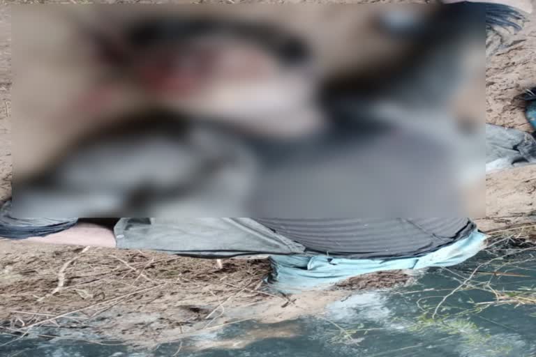 sohna dead body found