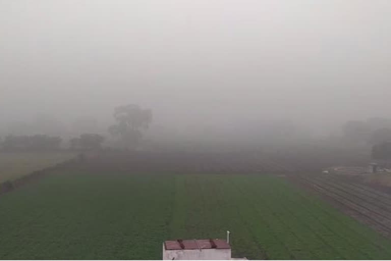 Heavy fog in Neemuch after heavy rains