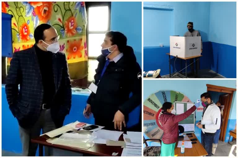 Municipal council polling started with social distancing in Kullu