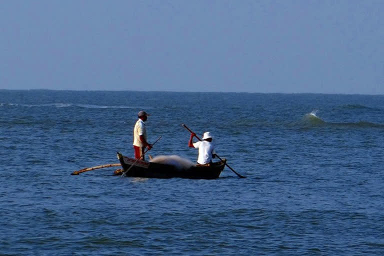 Sri Lankan Navy apprehends nine Indian fishermen