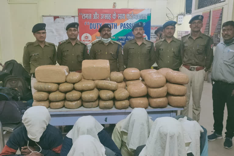 nagpur Cannabis smuggling news