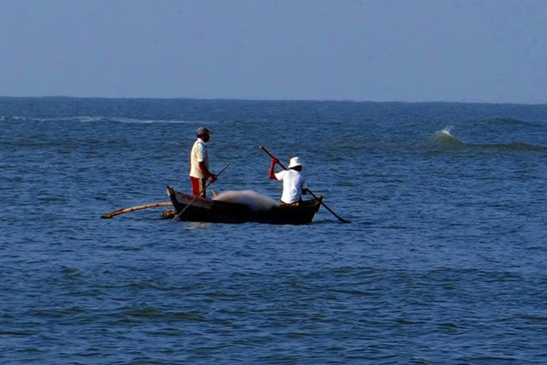 ഒമ്പത് ഇന്ത്യൻ മത്സ്യത്തൊഴിലാളികളെ ശ്രീലങ്കൻ നാവികസേന പിടികൂടി  ഇന്ത്യൻ മത്സ്യത്തൊഴിലാളികൾ  ചെന്നൈ  ചെന്നൈ വാർത്തകൾ  ശ്രീലങ്കൻ നാവികസേന  മത്സ്യത്തൊഴിലാളികൾ പിടിയിൽ  Nine Indian fishermen arrested by Sri Lankan navy  Sri Lankan navy News
