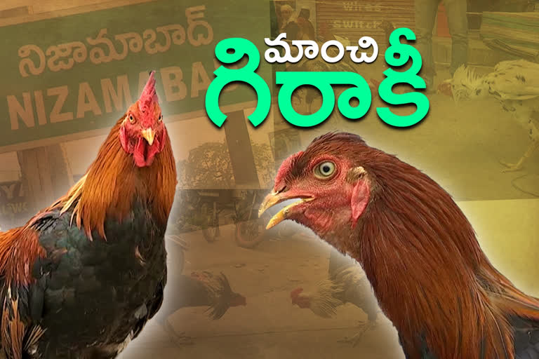 betting cocks sales high in nizamabad market