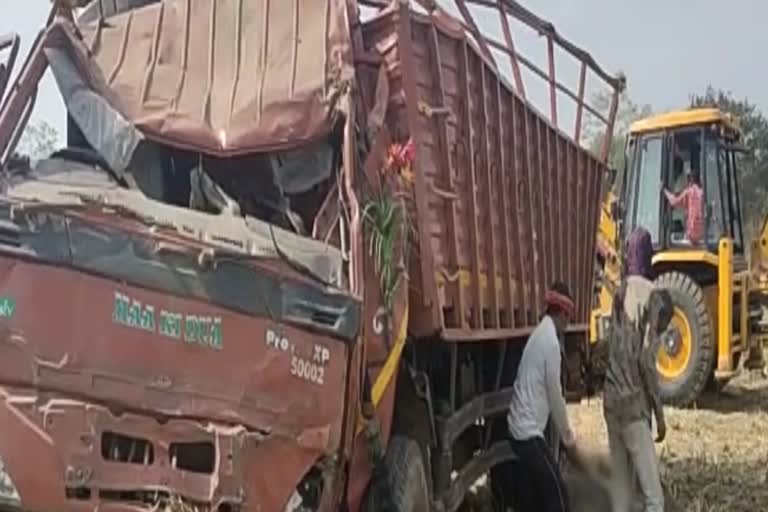 22-cattle-dies-in-road-accident-near-gandatola-in-rajnadgaon