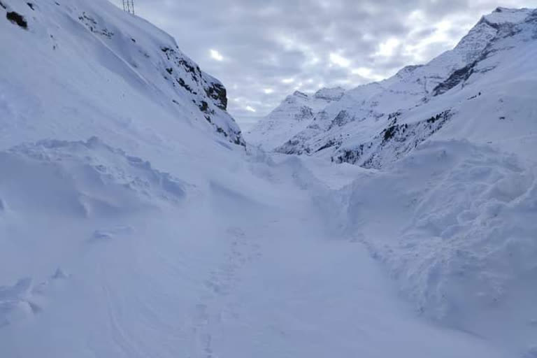 lahaul spiti avalanche लाहौल स्पीति हिमस्खलन