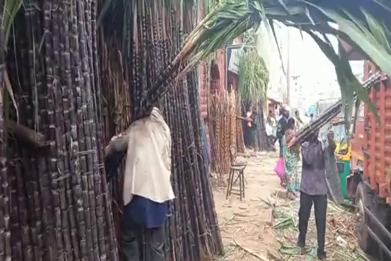 sugar-cane-growers-and-traders-loss-in-sankranti-festival