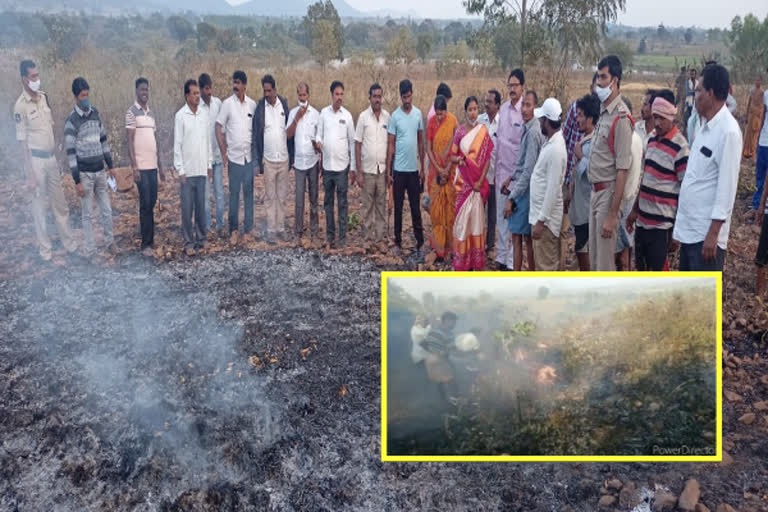 fire in agricultural lands at mamidi gundala village in bhadradri kothagudem and mla hari priya visited the place